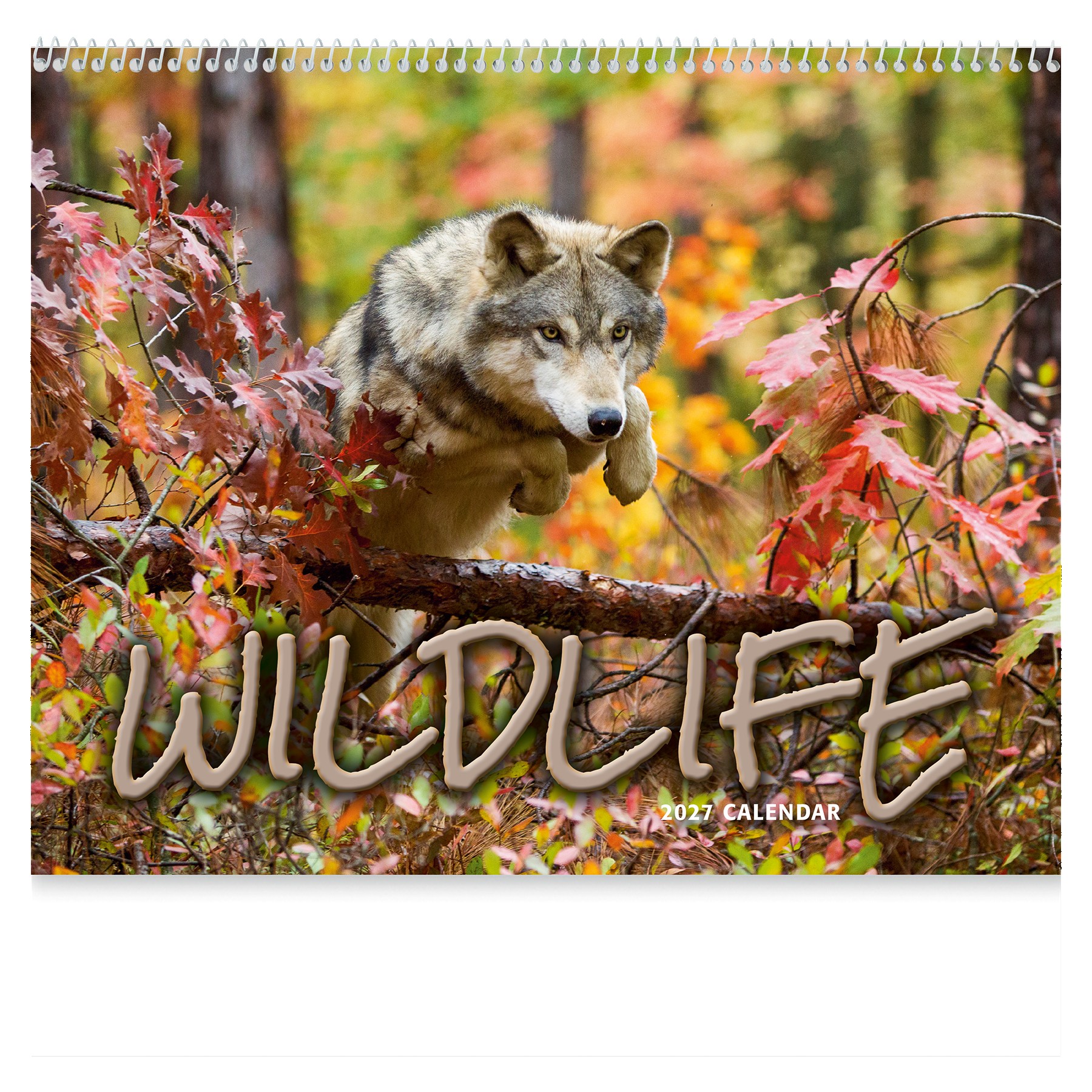 Picture of Wildlife Wall Calendar: 2027 Spiral Bound