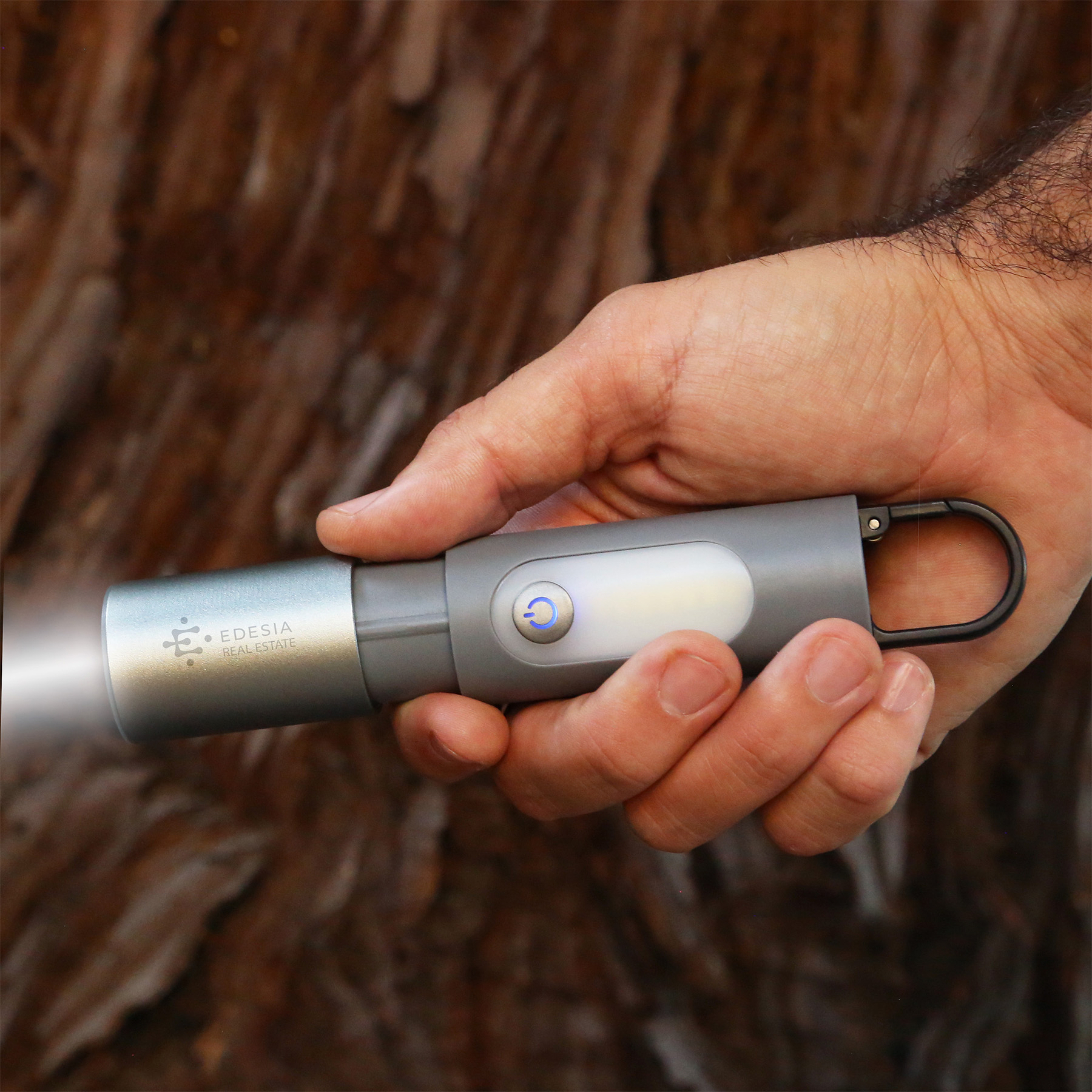 Picture of Odyssey Point Flashlight