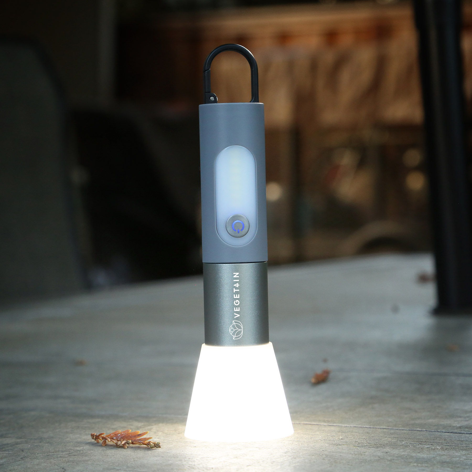 Picture of Odyssey Point Flashlight