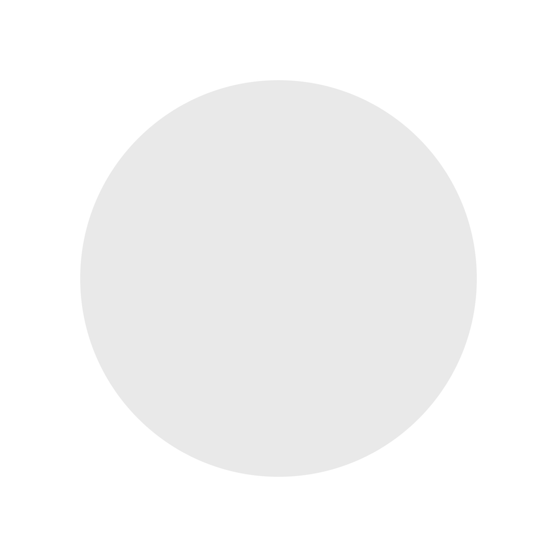 Picture of 2.5" Round Magnet