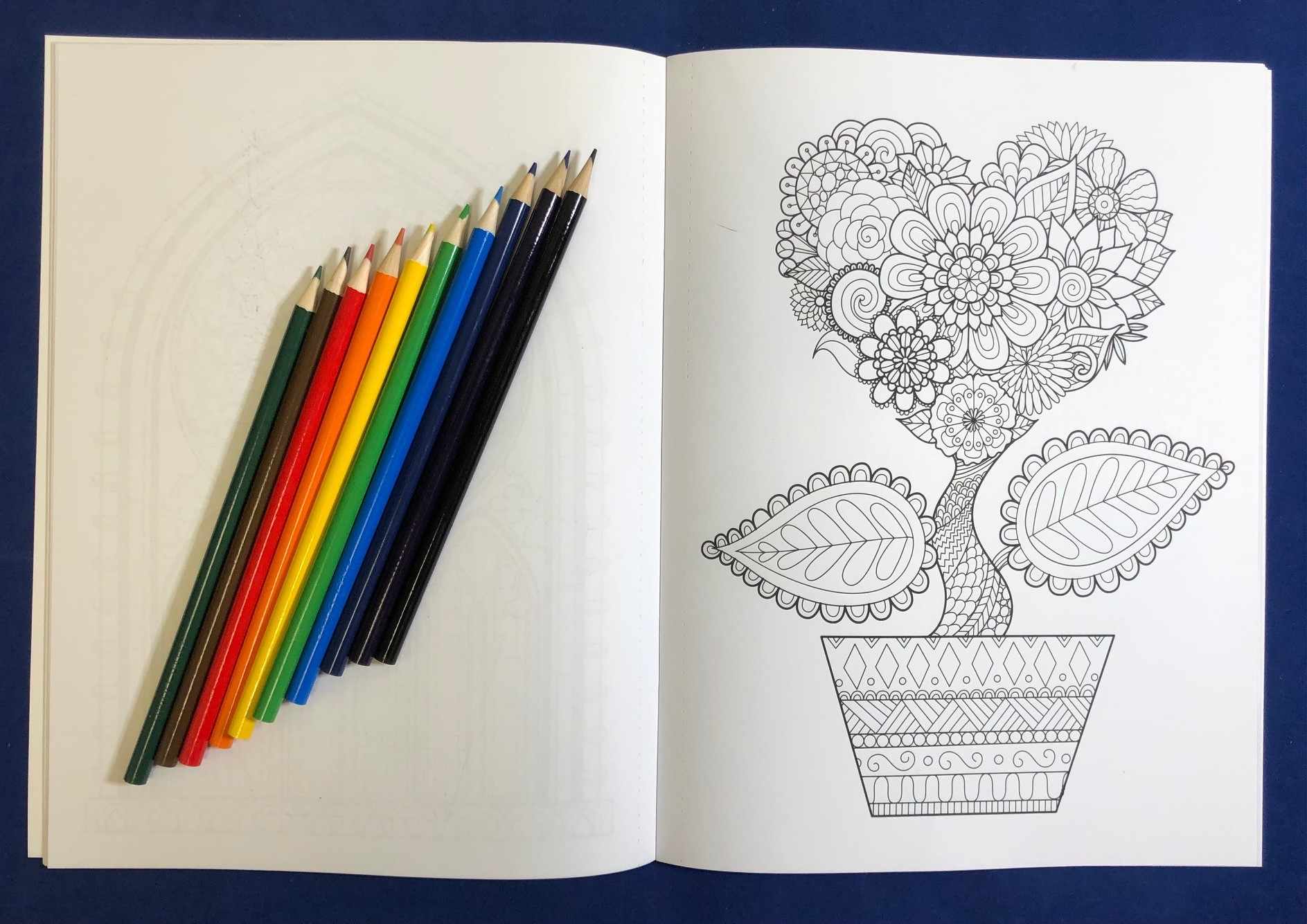 Picture of Relax Pack - Brighter Minds adult coloring puzzle book combo + Colored Pencils