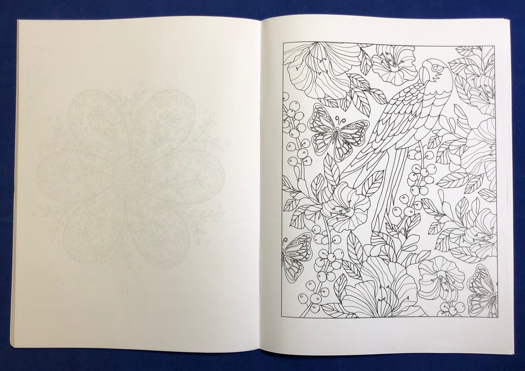 Picture of Brighter Minds - Adult Coloring and Puzzle Book Combo