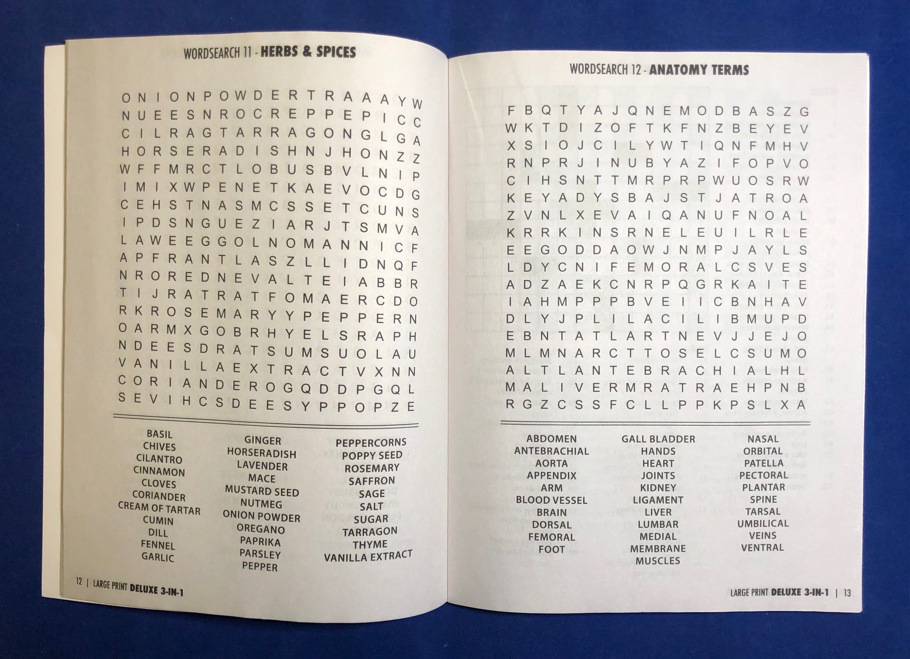 Picture of LARGE PRINT Deluxe 3-in-1 Puzzle Book