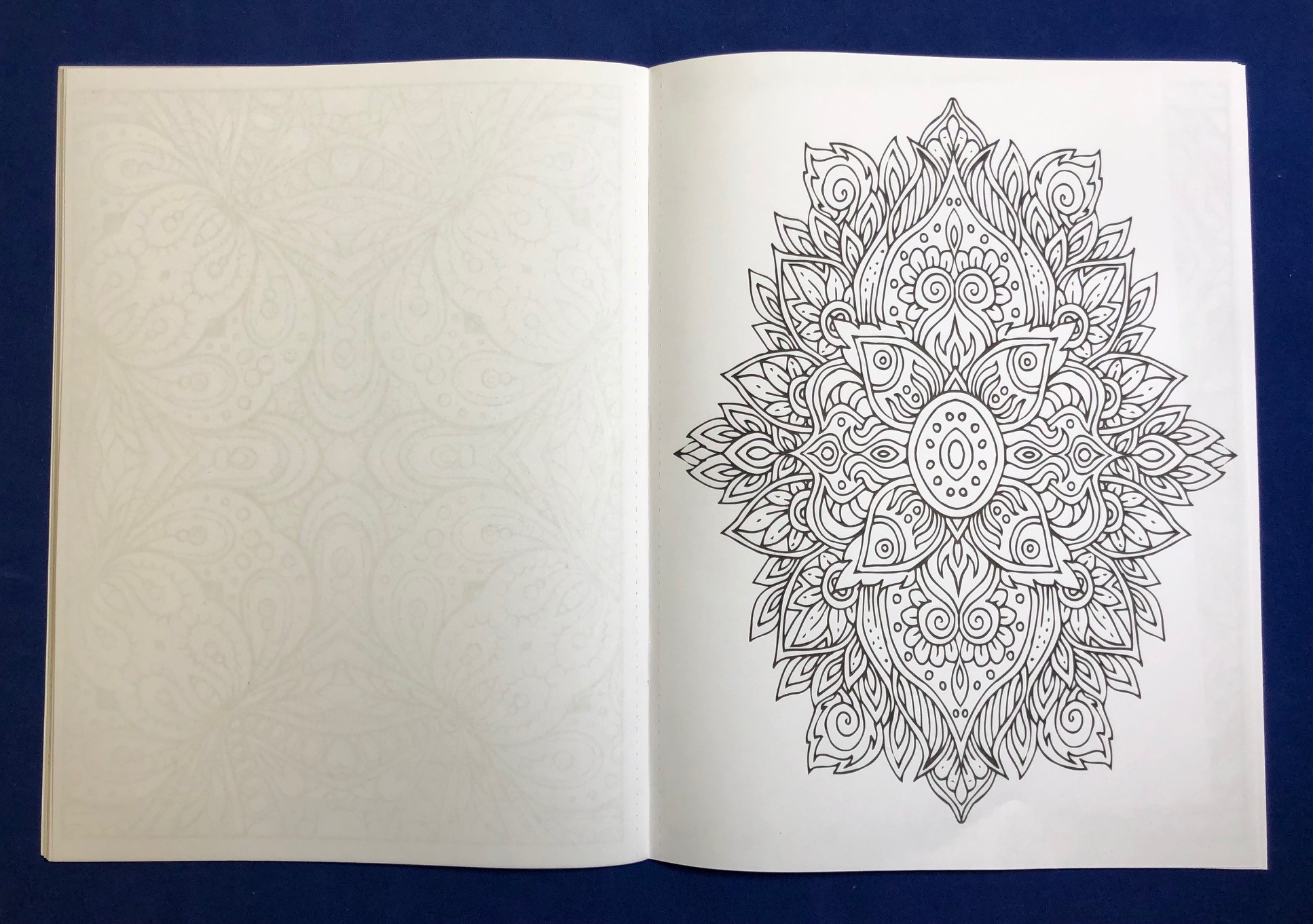 Picture of ZenDoodle Coloring Book for Adults