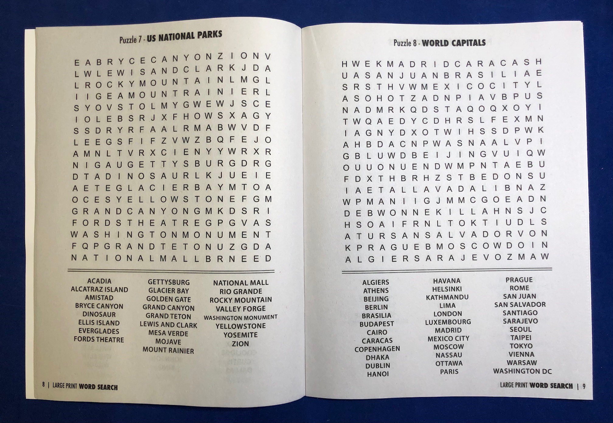 Picture of LARGE PRINT Word Search Puzzle Book - Volume 2