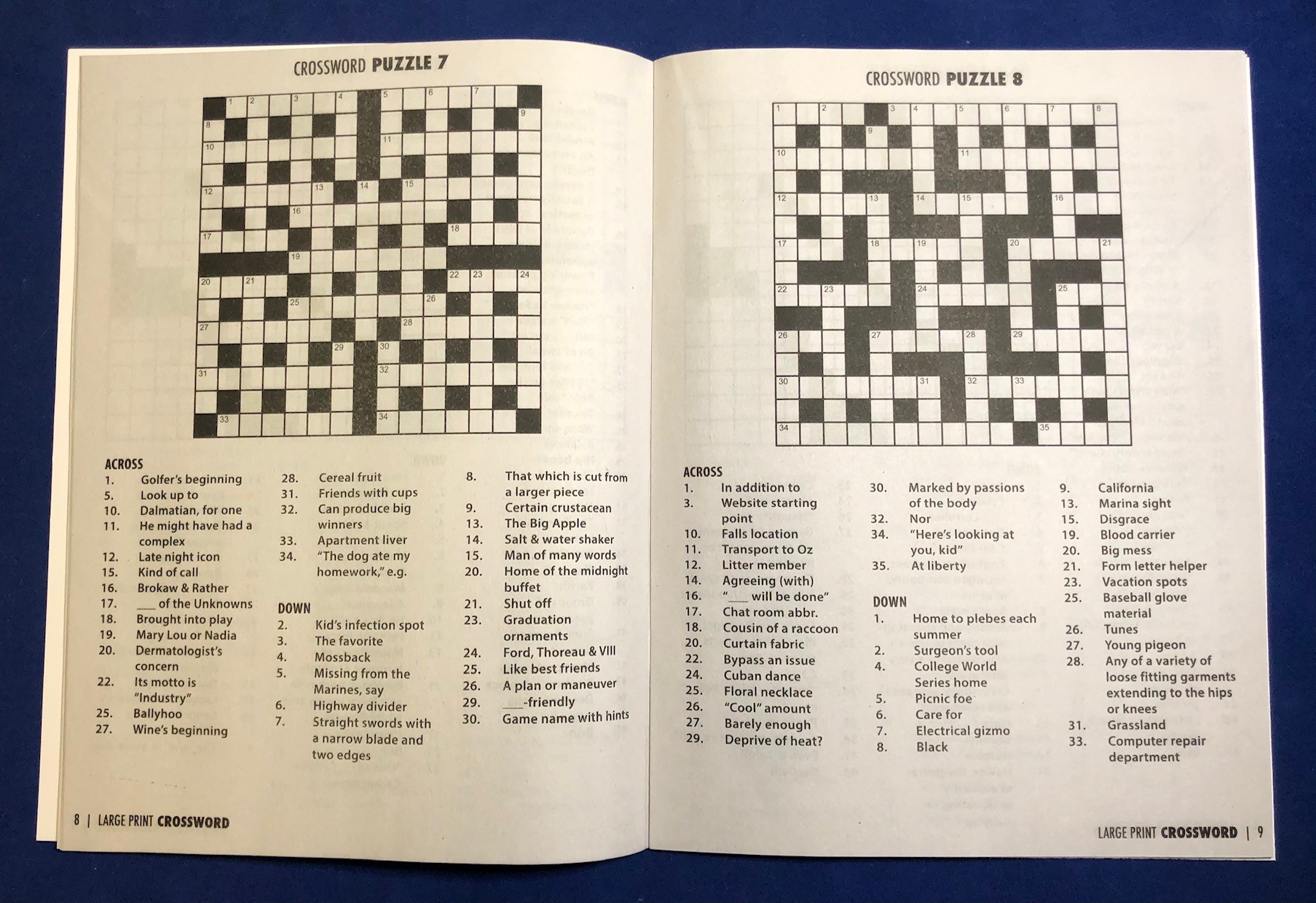 Picture of LARGE PRINT Crossword Puzzle Book - Volume 2