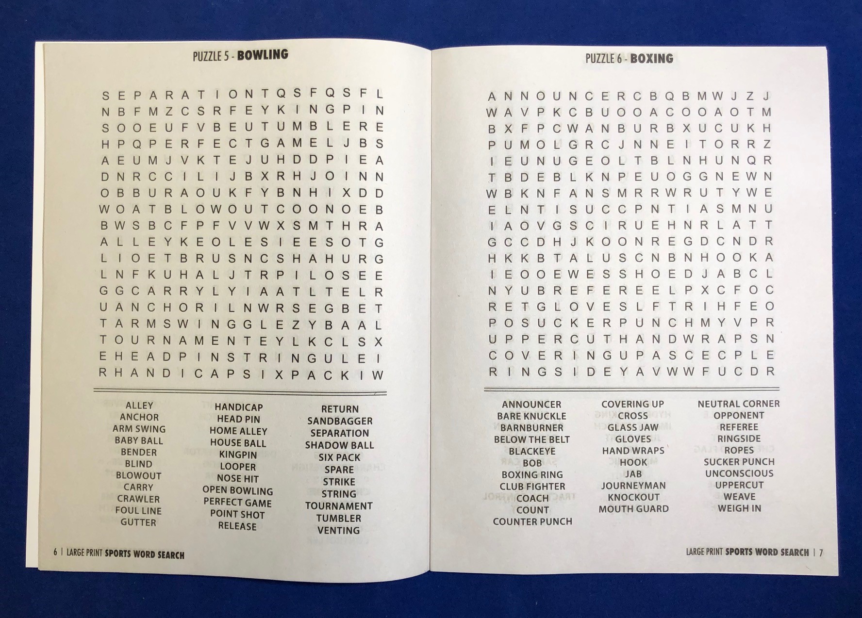 Picture of SPORTS: Large Print Word Search Puzzle Book