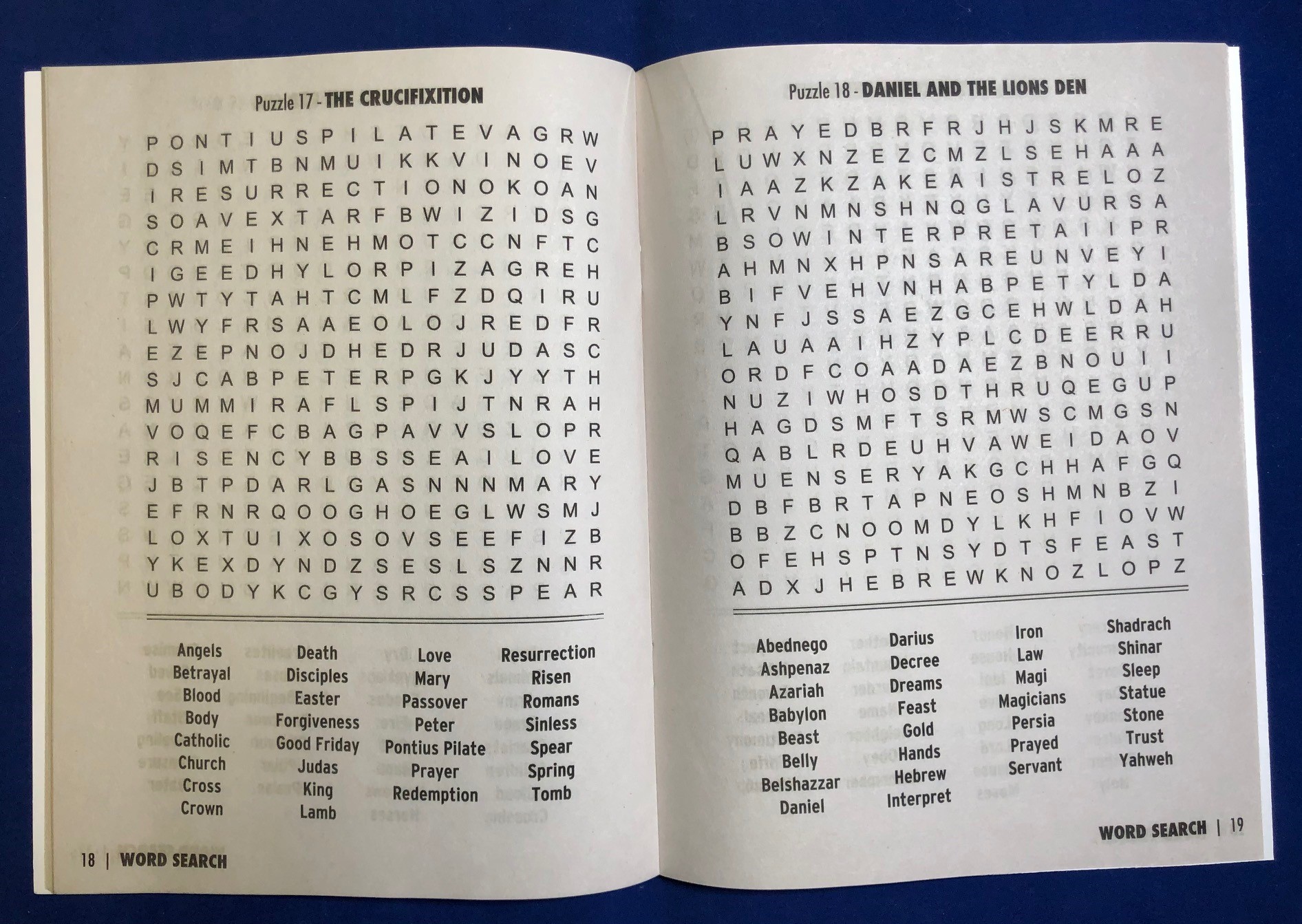 Picture of FAITH: Biblical Word Search Puzzle Book