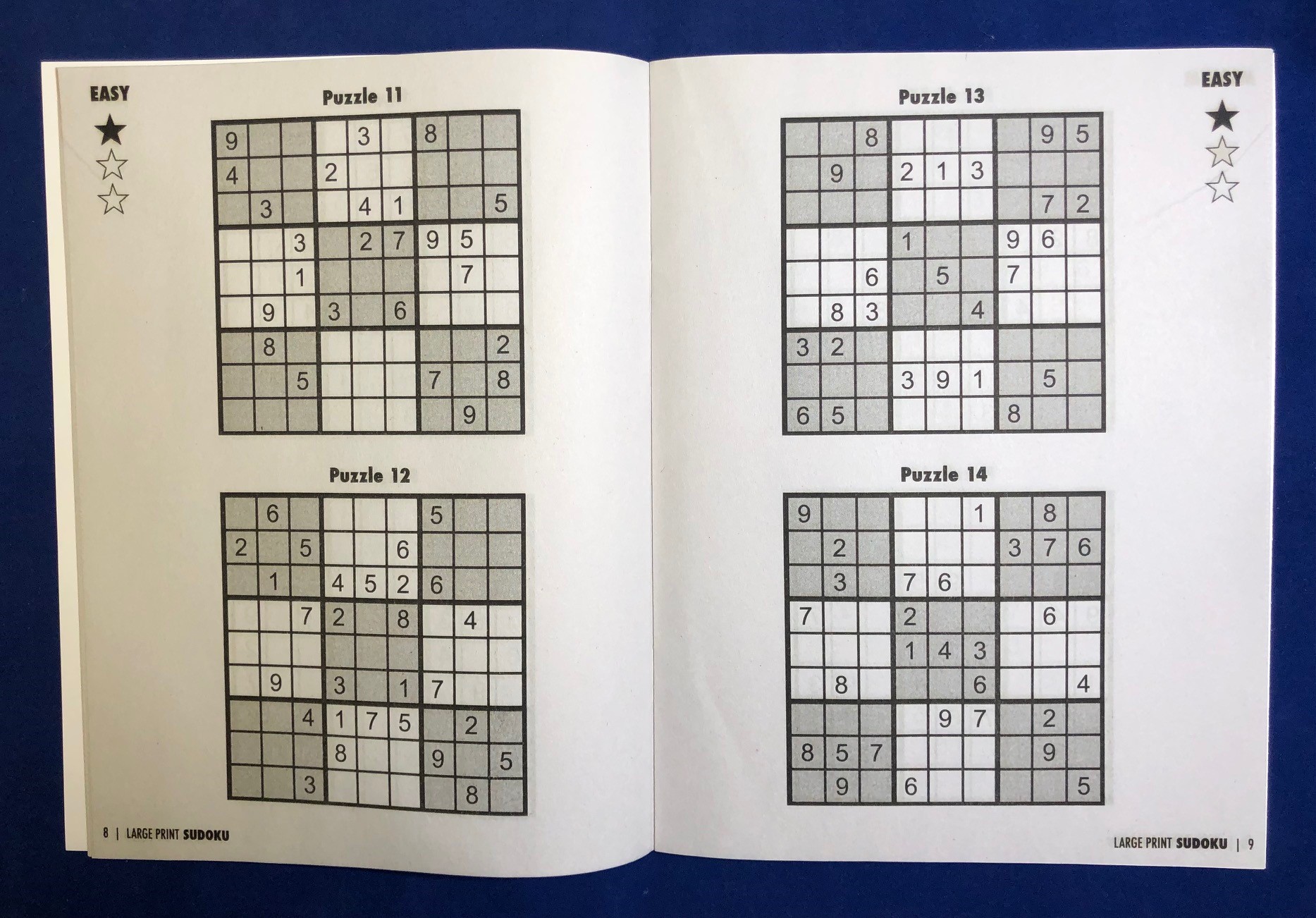 Picture of LARGE PRINT Sudoku Puzzle Book - Volume 1