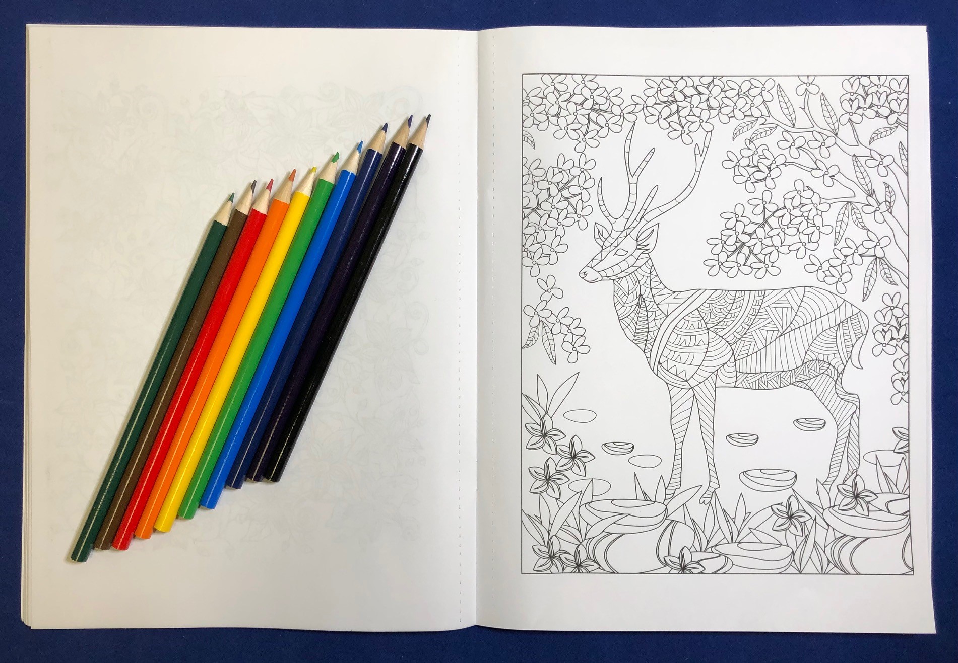 Picture of Relax Pack - Nature Coloring Book for Adults + Colored Pencils