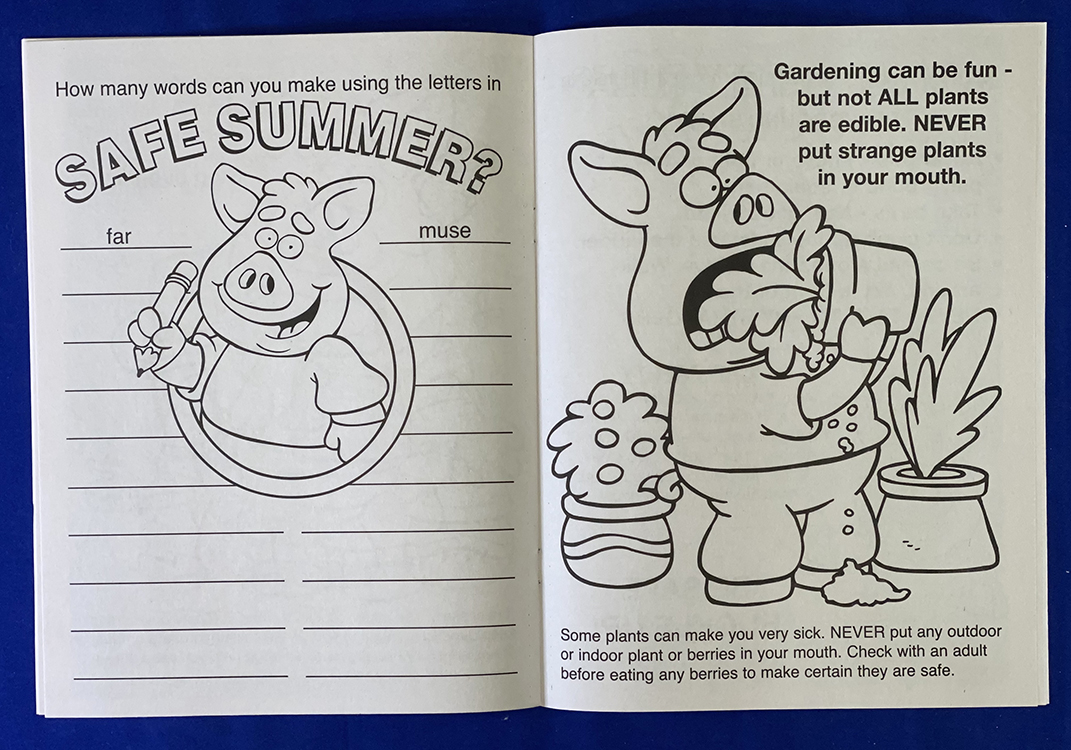 Picture of Have a Safe Summer Coloring Book