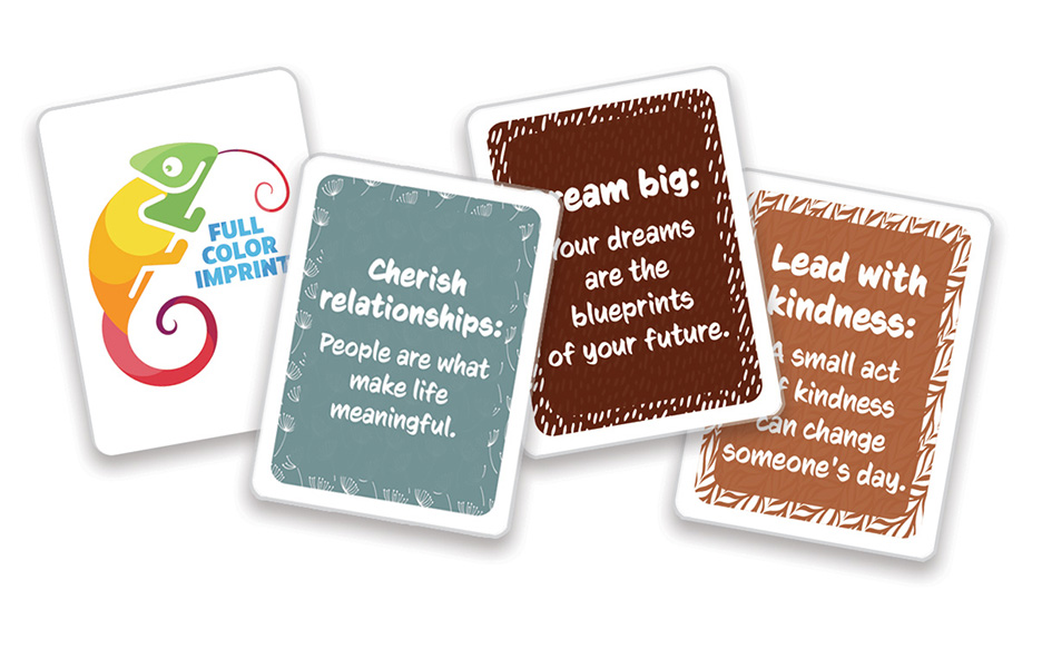 Picture of Game Card and Educational Flash Card Sets