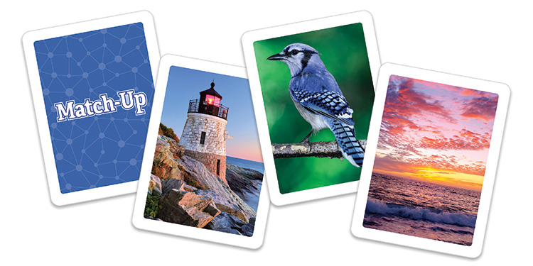 Picture of Flash Game Card Set - Match Up