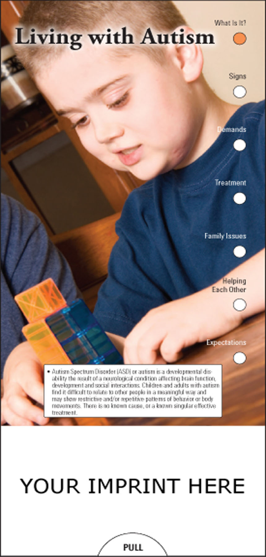 Picture of Living with Autism Slide Chart