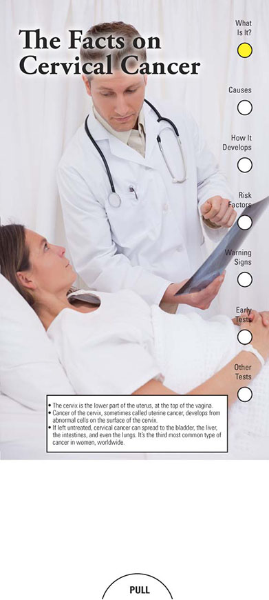 Picture of The Facts on Cervical Cancer Slide Chart