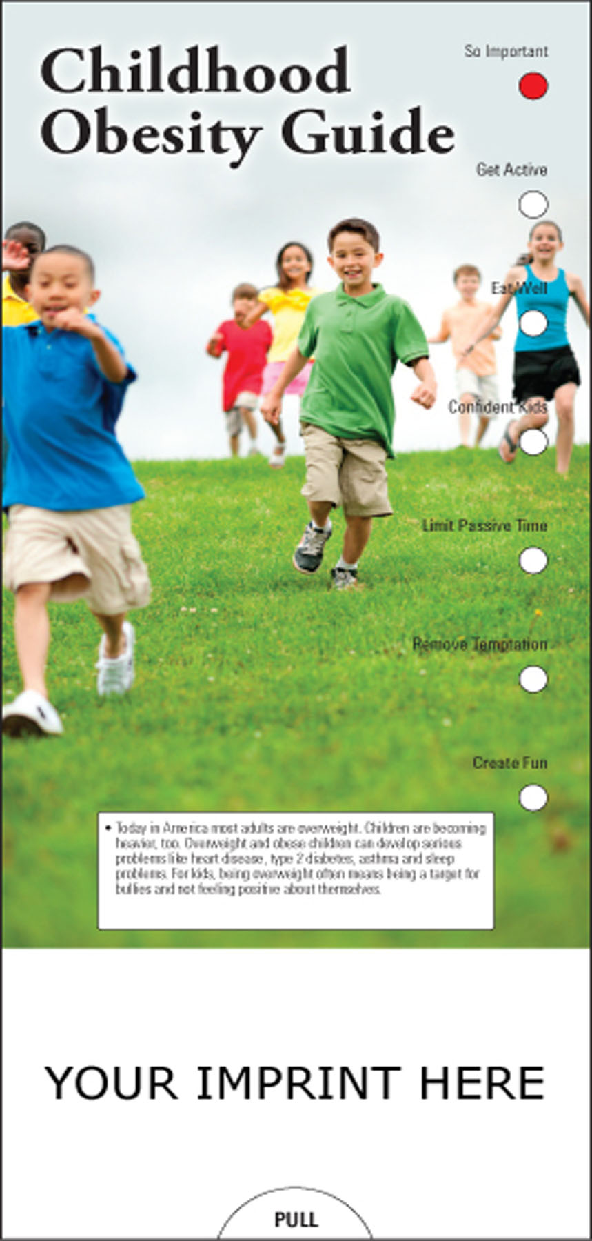Picture of Childhood Obesity Guide Slide Chart