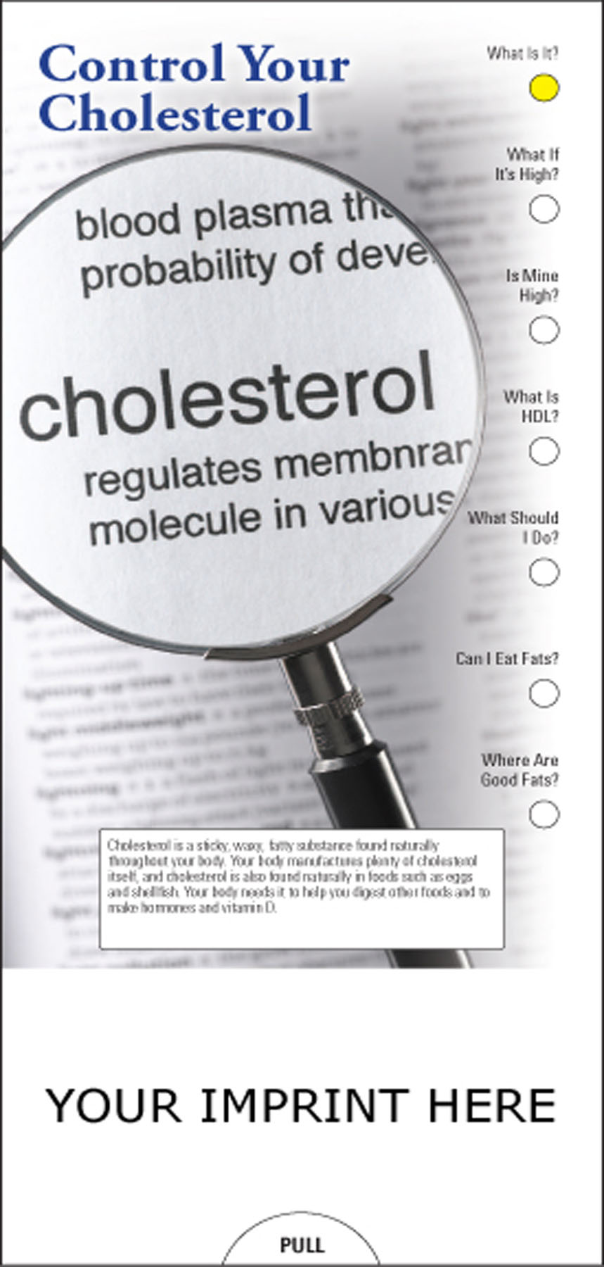 Picture of Control Your Cholesterol Slide Chart