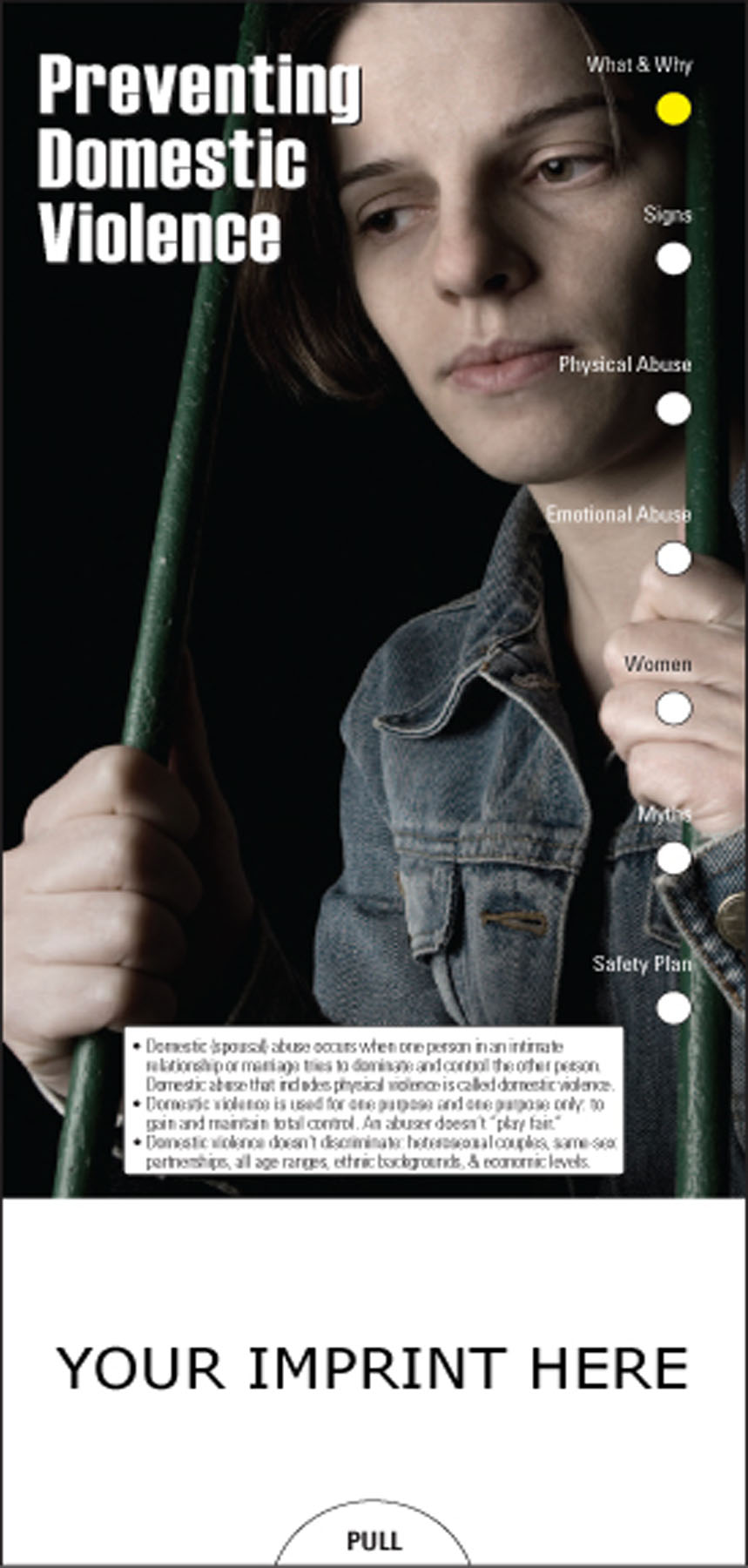 Picture of Preventing Domestic Violence Slide Chart