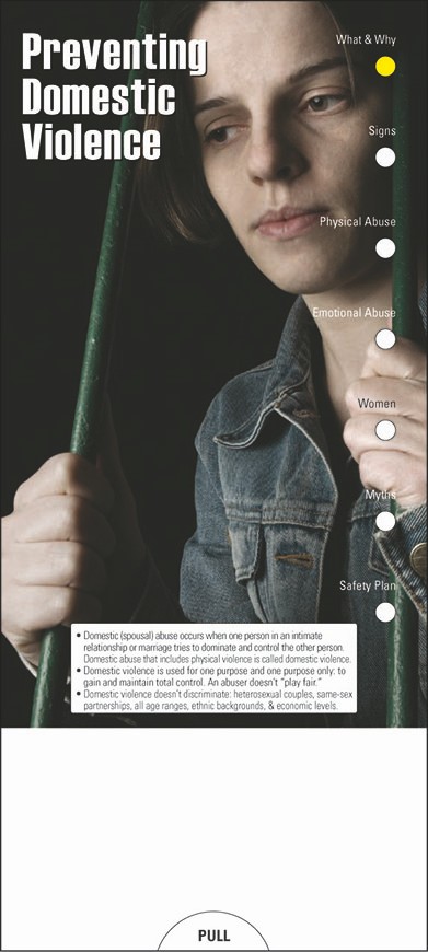 Picture of Preventing Domestic Violence Slide Chart