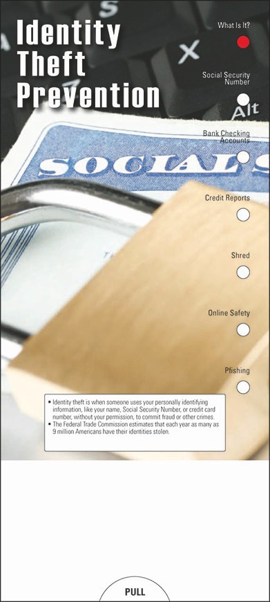 Picture of Identity Theft Prevention Slide Chart