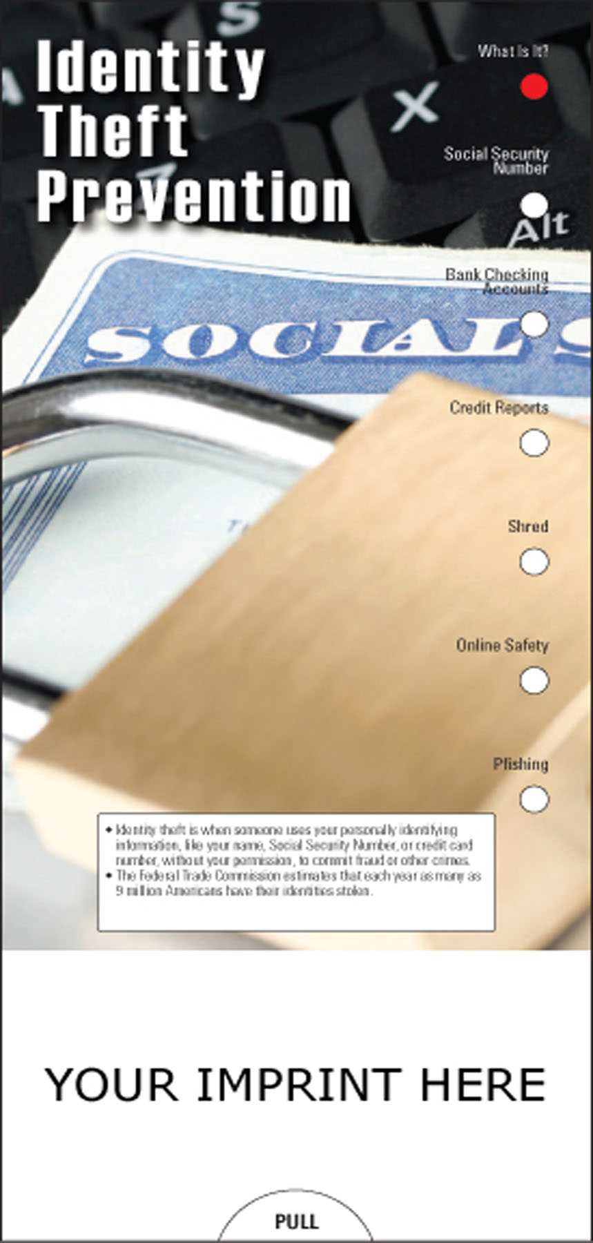 Picture of Identity Theft Prevention Slide Chart