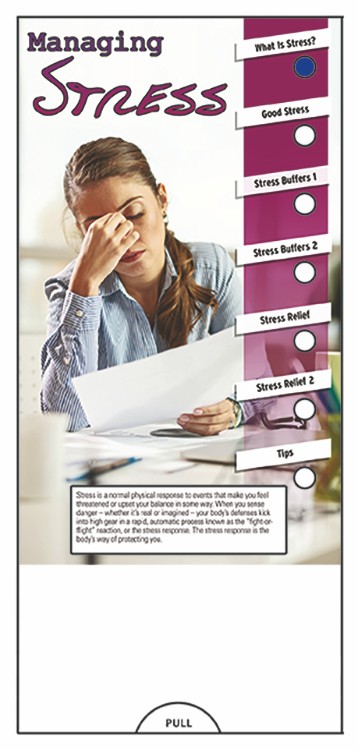 Picture of Managing Stress Slide Chart