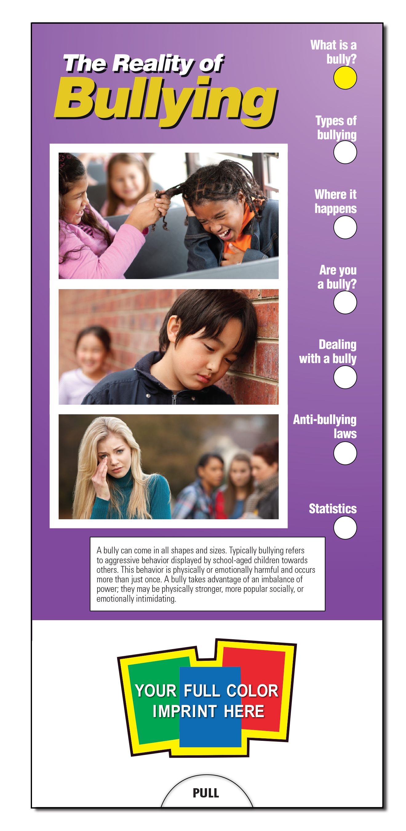 Picture of The Reality of Bullying Slide Chart