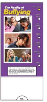 Picture of The Reality of Bullying Slide Chart