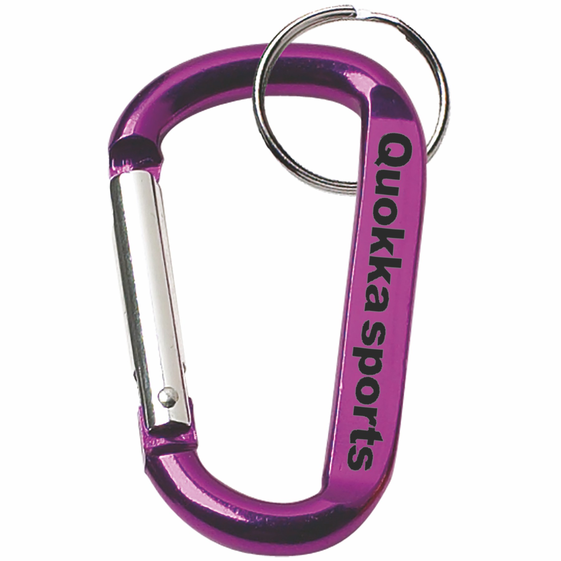 Picture of Carabiner w/split Ring