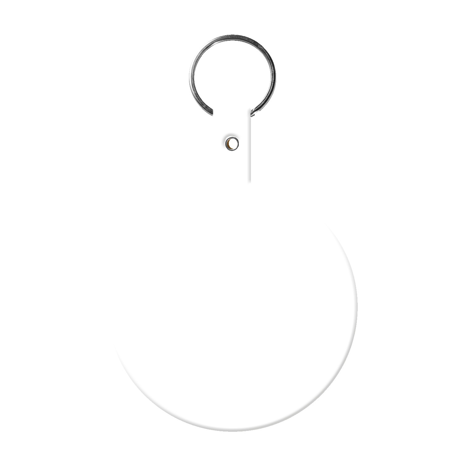 Picture of Large Circle Flexible Key Tag