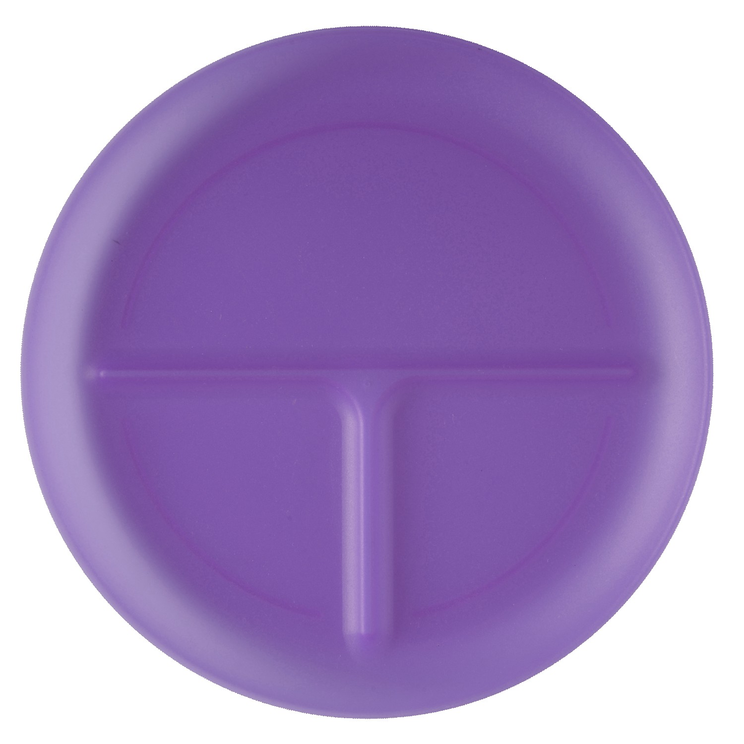 Picture of Portion Plate