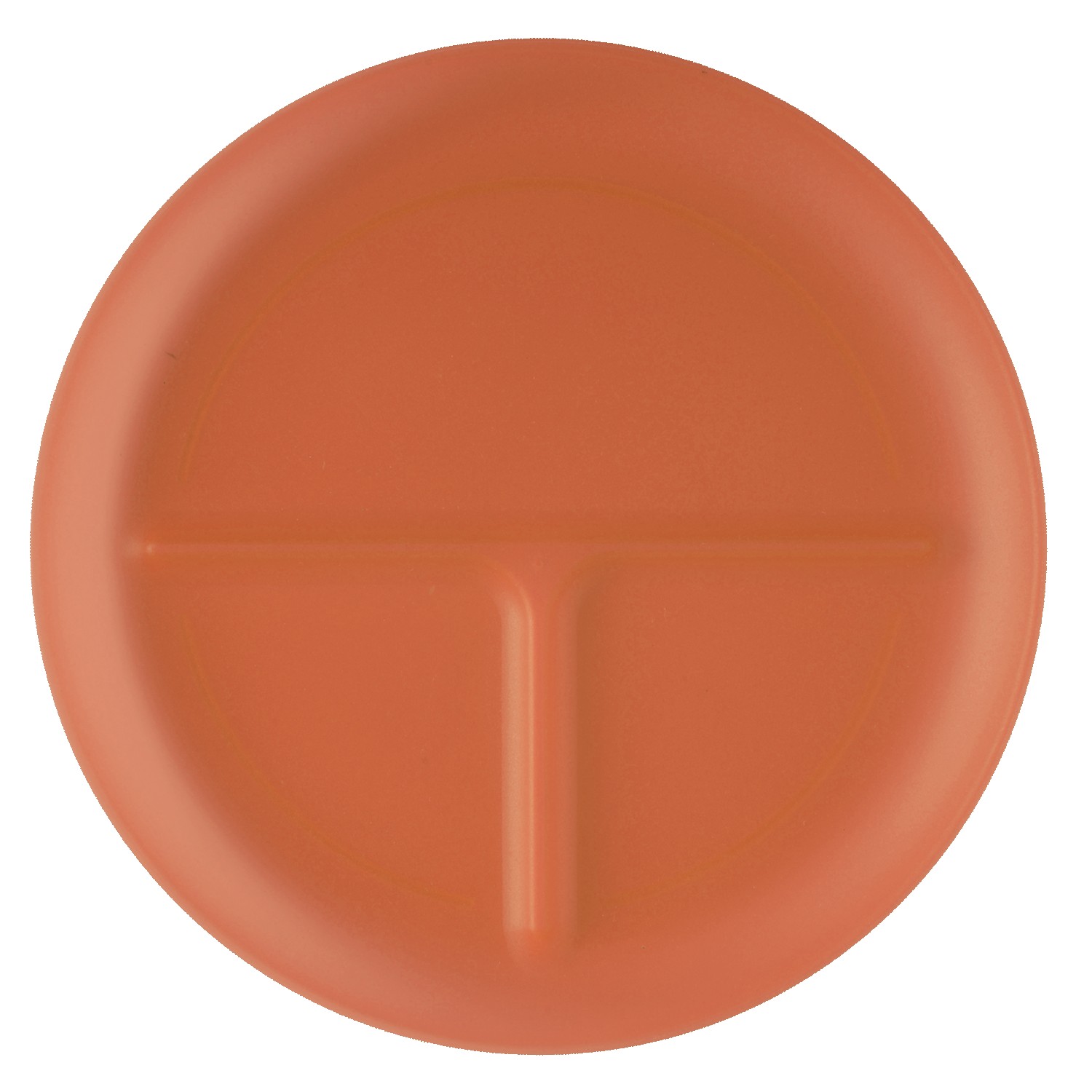 Picture of Portion Plate