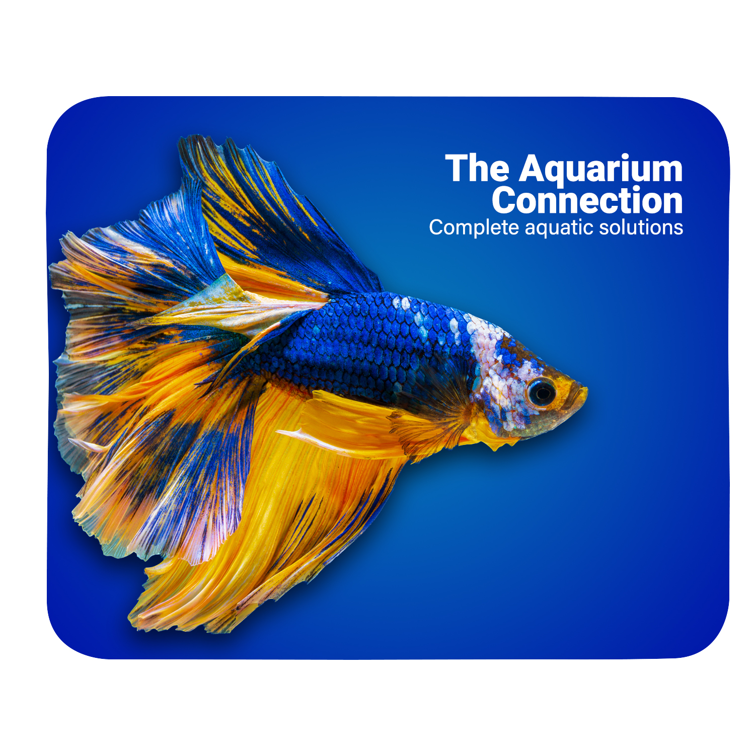 Picture of Sublimated Mouse Pad