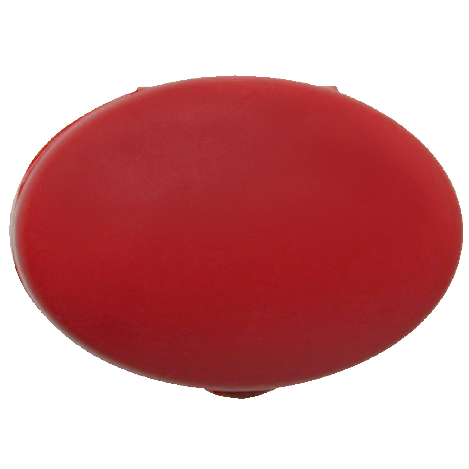 Picture of Oval Pill Case