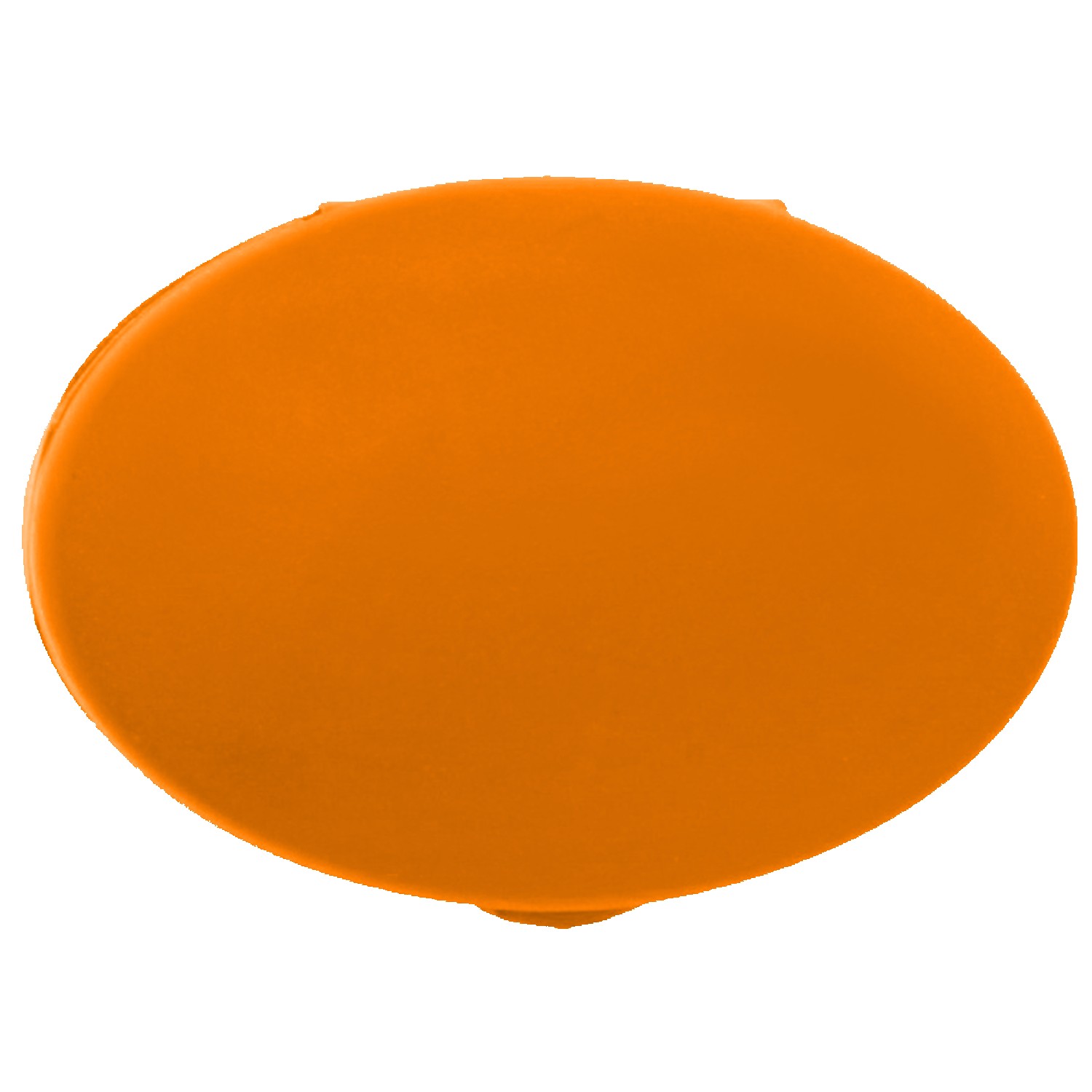 Picture of Oval Pill Case