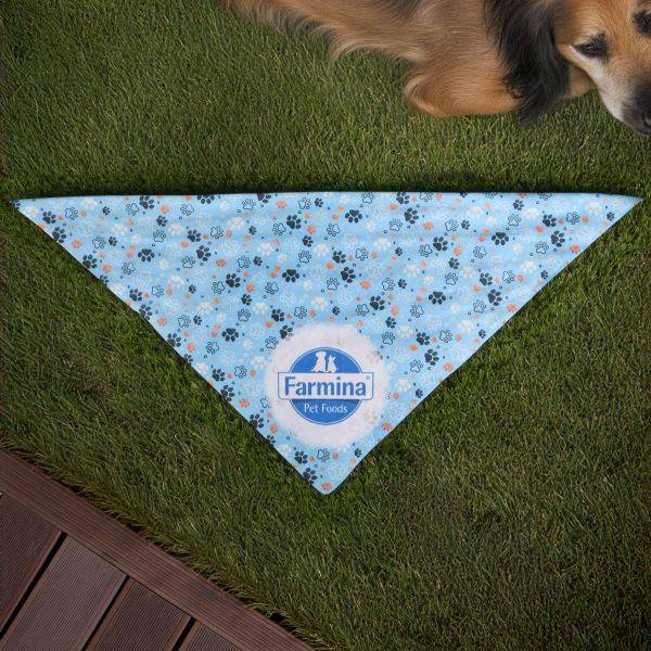 Picture of Sublimated Bandana - RPET