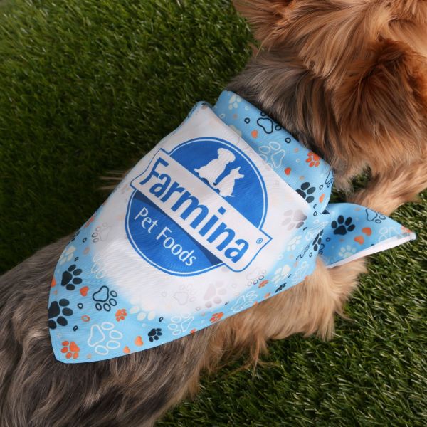 Picture of Sublimated Bandana - RPET