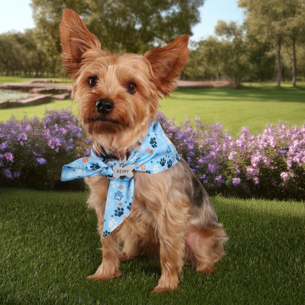 Picture of Sublimated Bandana - RPET