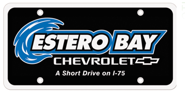 Picture of License Plate Insert
