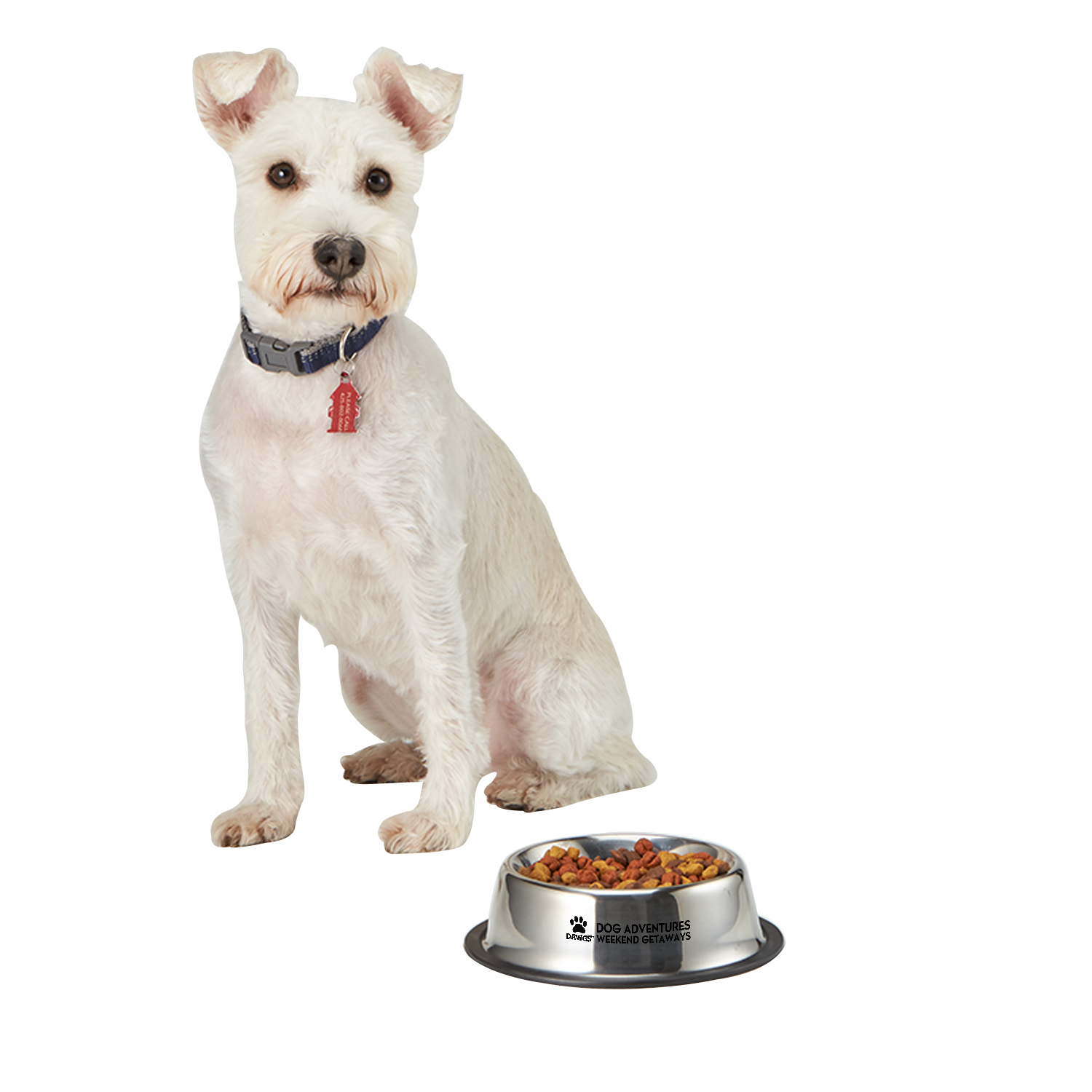 Picture of Medium Stainless Steel Pet Bowl
