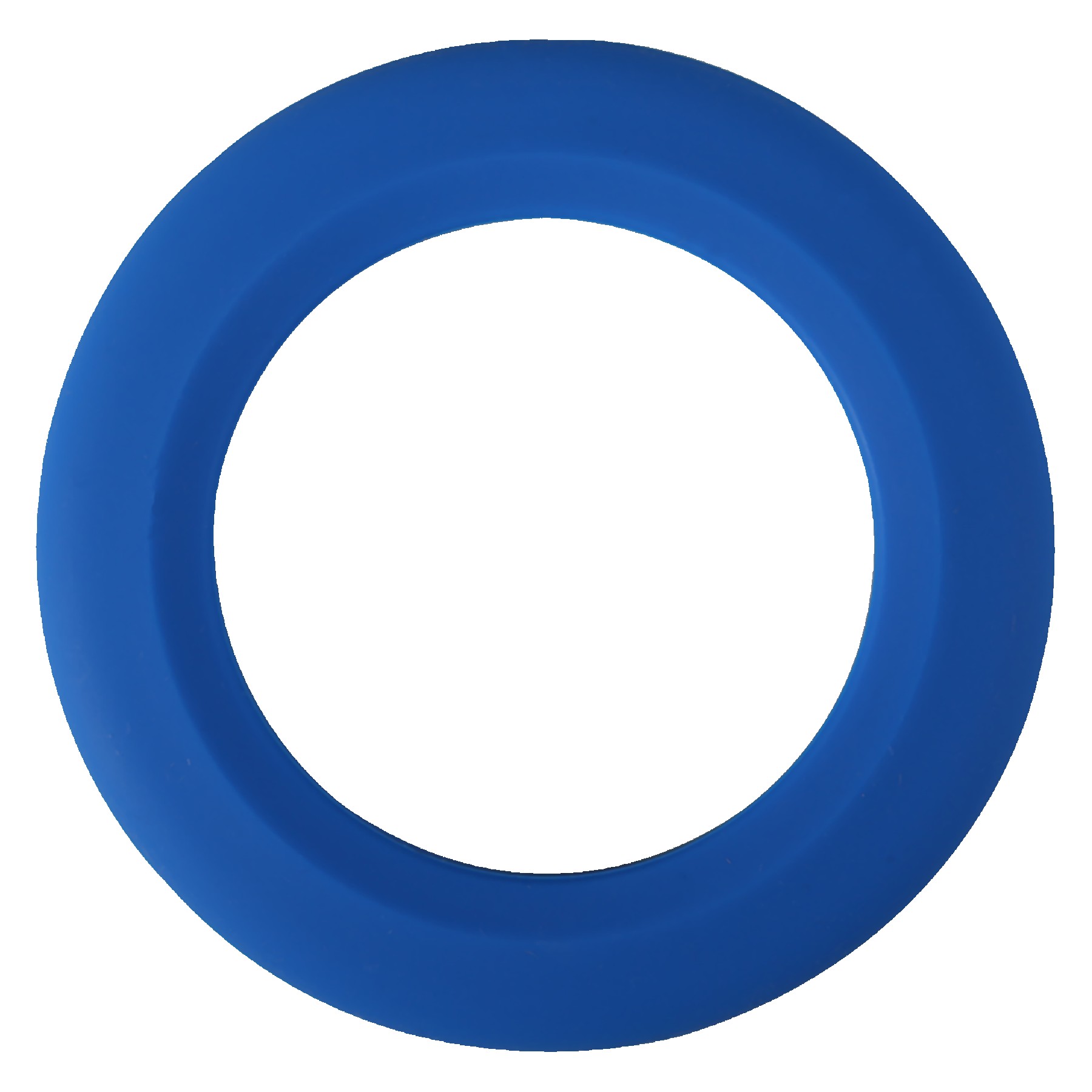 Picture of Silicone Wrist Disc
