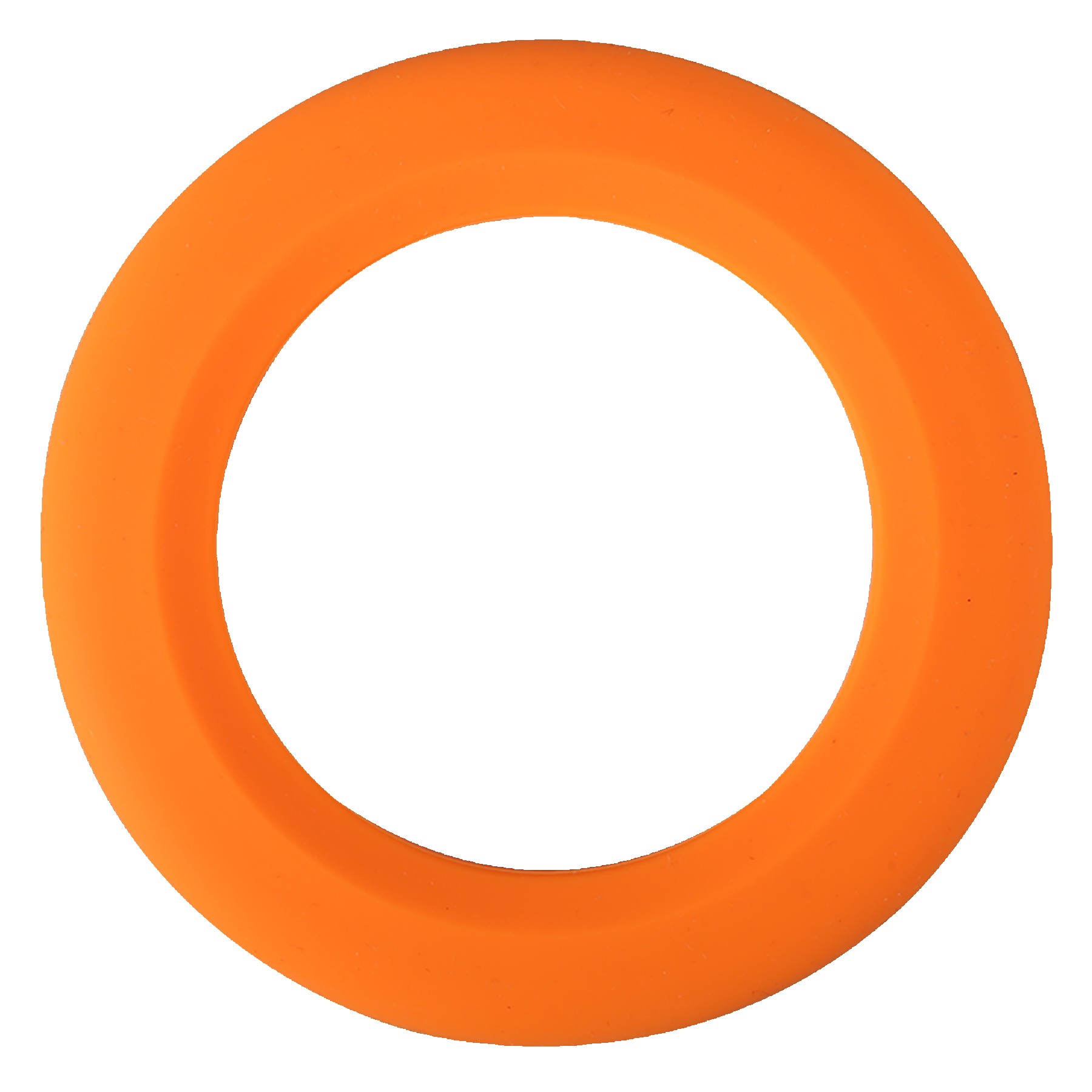 Picture of Silicone Wrist Disc