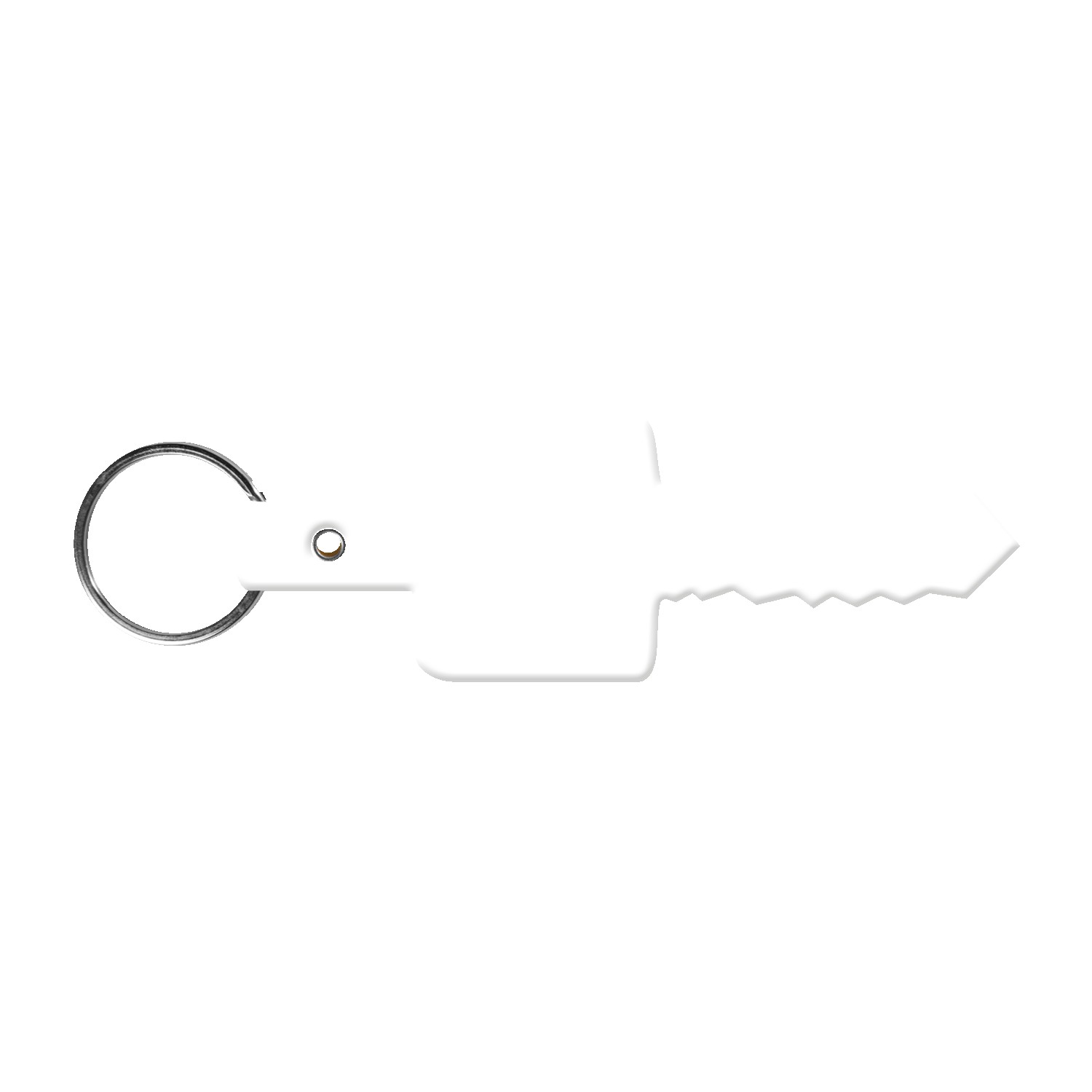 Picture of Flexible Key Shaped Key Tag