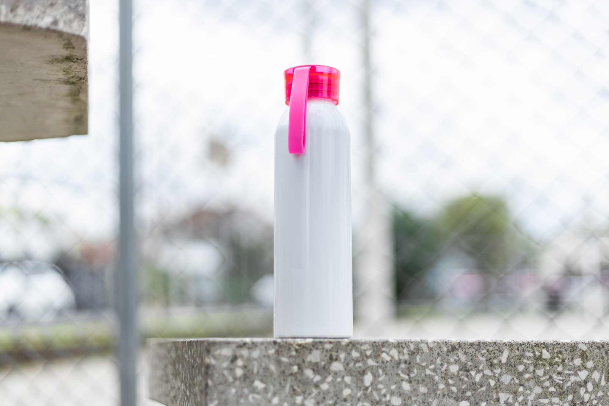 Picture of 22 oz Regis Bottle