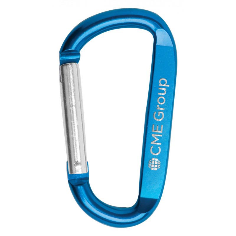 Picture of 3 1/8" Carabiner Key Chain