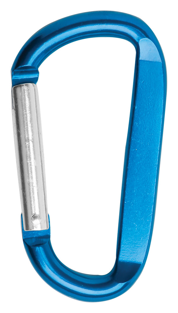 Picture of 3 1/8" Carabiner Key Chain