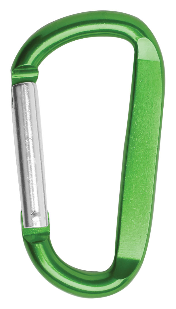 Picture of 3 1/8" Carabiner Key Chain