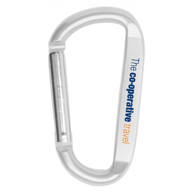 Picture of 3 1/8" Carabiner Key Chain