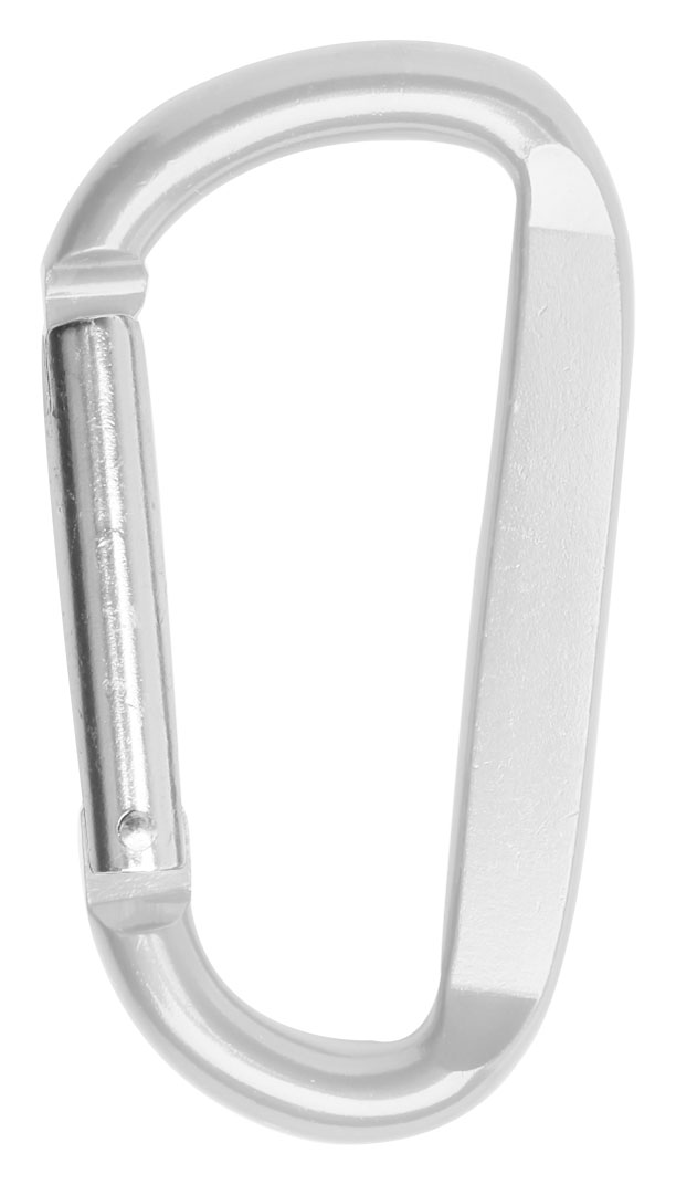 Picture of 3 1/8" Carabiner Key Chain