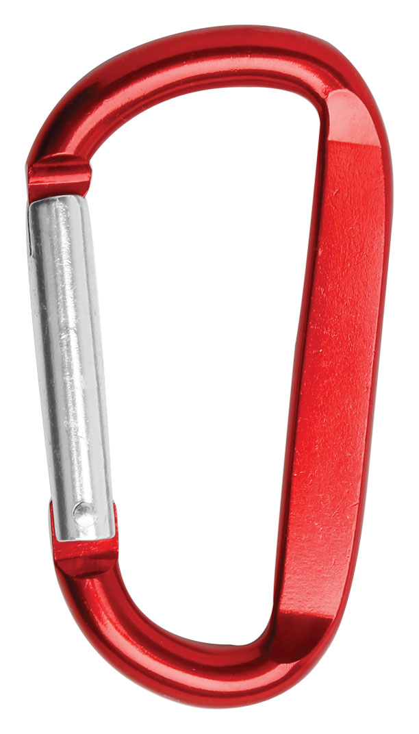 Picture of 3 1/8" Carabiner Key Chain
